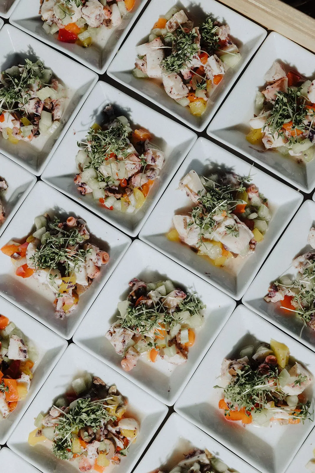 Rows of small plates with octopus salad, seen from above