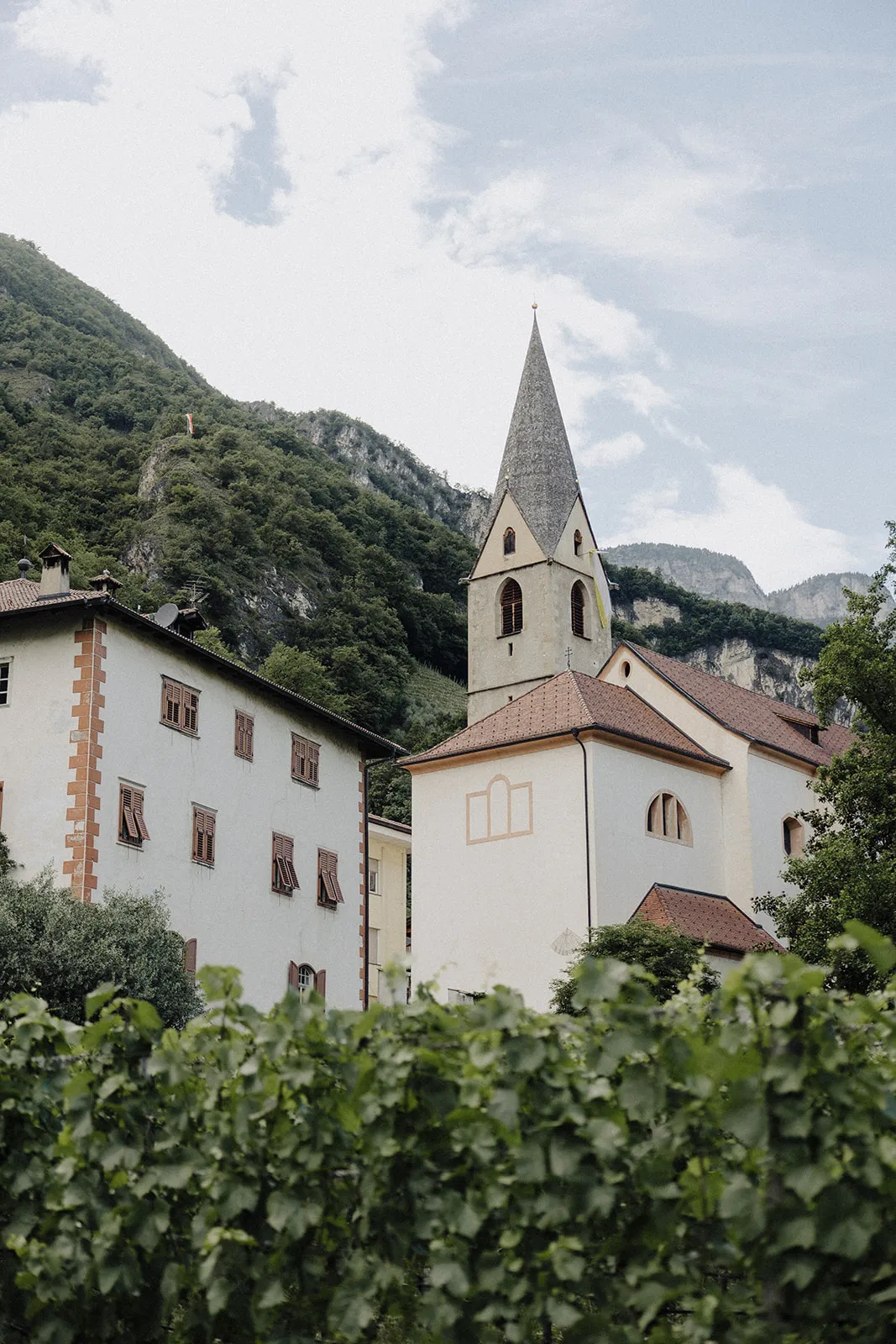 Der Kirchturm von Margreid über den Reben, dahinter die Berge.