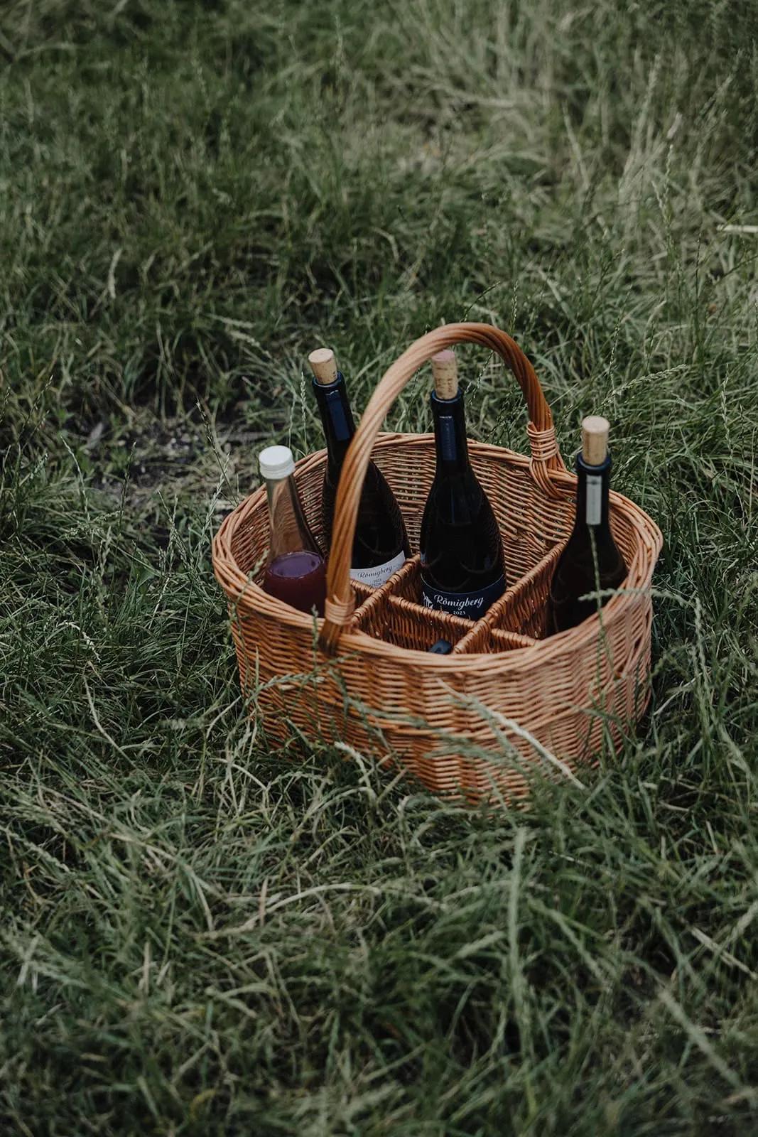 A wicker basket of wine bottles standing in the grass